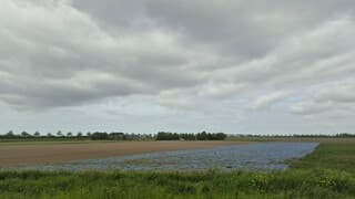 Bewolkte lucht 