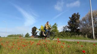 Blauw sluiers fietsen klaprozen jas aan