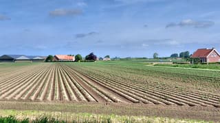 in de polder 