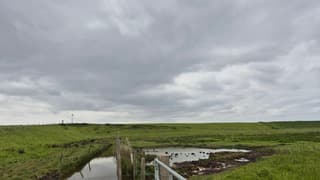 Veel bewolking 