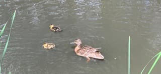 Twee kleintjes