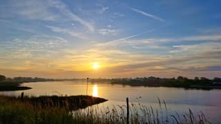 Goedemorgen 