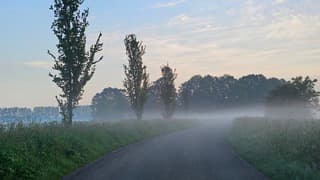 Mistymorning!