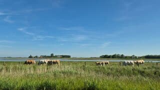 Blauwe lucht vandaag 