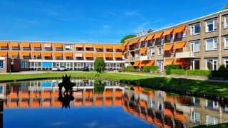 Heel veel zonneschermen