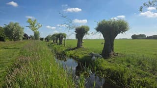 Zonnig en warm