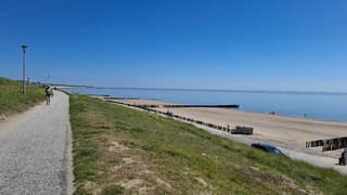 Strandweer