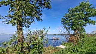 Doorkijkje tussen bomen naar varend bootje