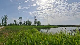 Zon en bewolking boven prachtige natuurgebied
