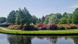 Kleurrijke lentemiddag in Sassenheim 