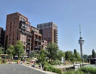 Zomer aan de Koolhavenkade