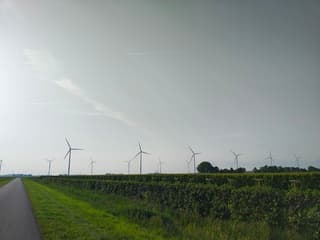 Veel windmolens 