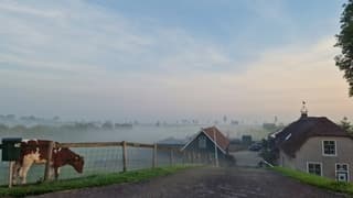 Goedemorgen 
