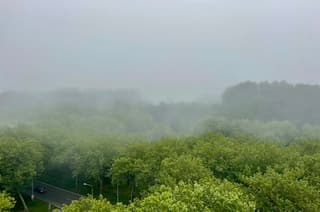 Dichte mist om 8 uur vanmorgen na een mooie zonsopgang 