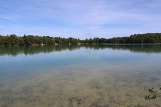 Vissen in bijna rimpelloos water