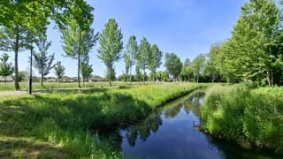 Warme en zonnige dag