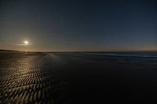 zeevonk Ameland 25-05-2026