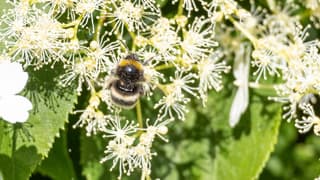 You should bee there