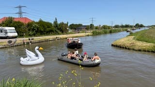 Drukte op het water, Pas op voor de zwaan