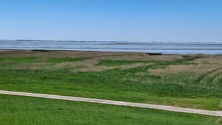 de dollard