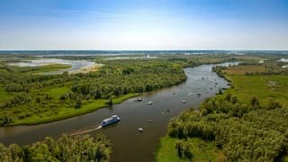 Drukte op het water in de Biesbosch 