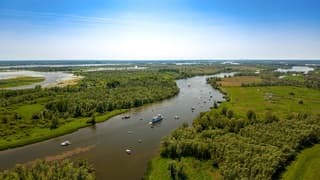 Drukte op het water in de Biesbosch.