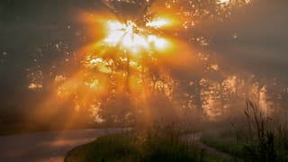 Mistige zonsopkomst.