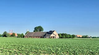 zonnig blauwe lucht 