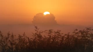 Zonsopkomst in de mist.
