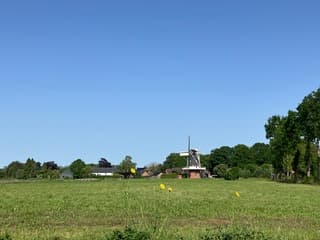 Geen wolkje aan de hemel 
