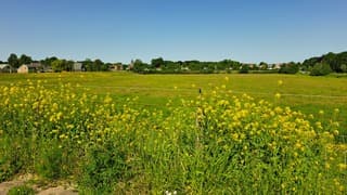 Staalblauwe lucht 