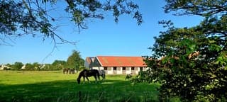 Zonnig en warm 