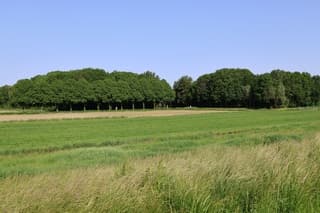 Midwolda