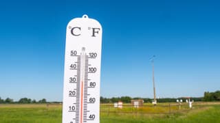 Weerstation Ell tikte de 31 graden aan vandaag