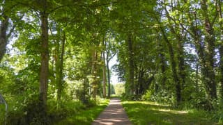 Tussen de bomen is het goed vertoeven