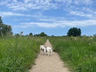 Af en toe een blauwe lucht