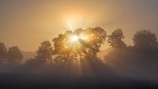 Mistige zonsopkomst.