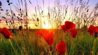 Zonsopkomst 