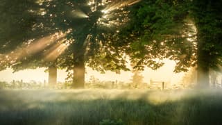 Magisch licht vanmorgen vroeg. 