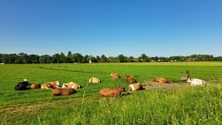 Heerlijk relaxen in de zon!