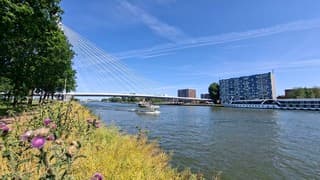 Plezierjacht vaart door het amsterdam-rijn kanaal, bij volop zon blauwe lucht,  wat sluierbewolking en paarse distel