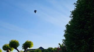 Ballonvaren