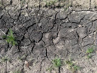 Droogte 