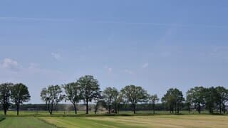 Droogte