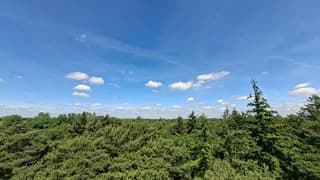 Uitzicht vanaf uitkijktoren de Oelemars 