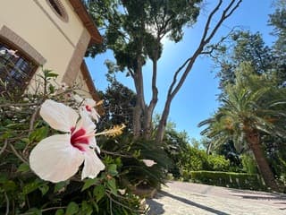 Malaga 