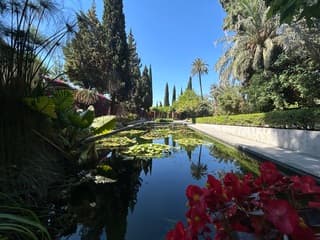 Malaga 