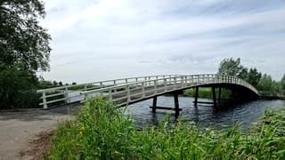 Veel wind