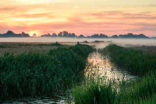Voor zonsopkomst.