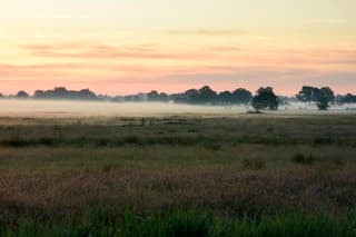 Zonsopkomst.